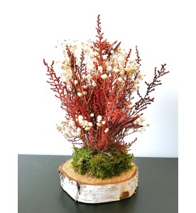 ARBRE GYPSO
