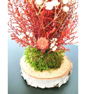 ARBRE GYPSO