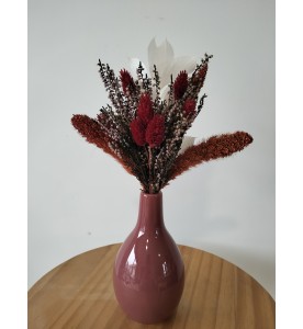 SETARIA