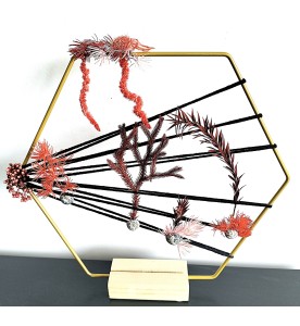 CORAIL