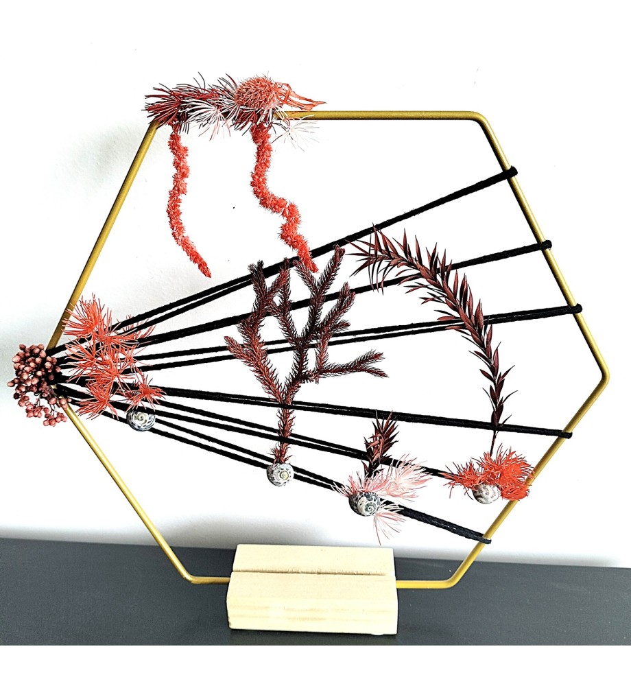 CORAIL